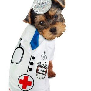 PamPet Doctor Barker Halloween Dog Pet Costume